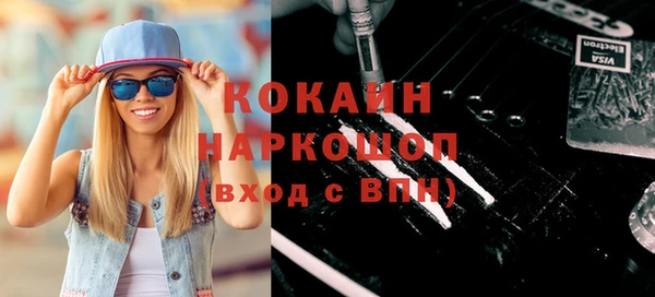 эйфоретик Няндома