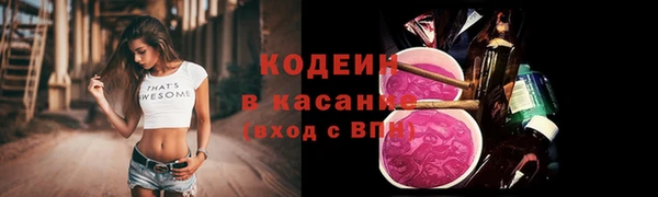 эйфоретик Няндома