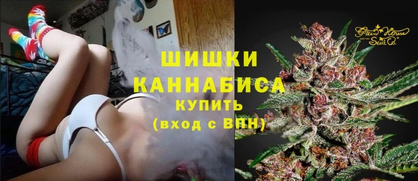 эйфоретик Няндома