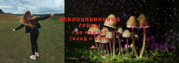 гидропоника Абинск