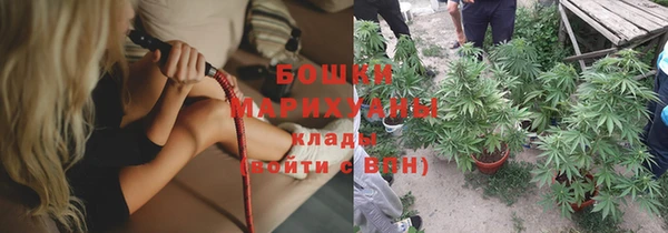 эйфоретик Няндома