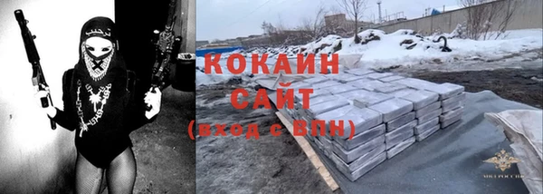 эйфоретик Няндома