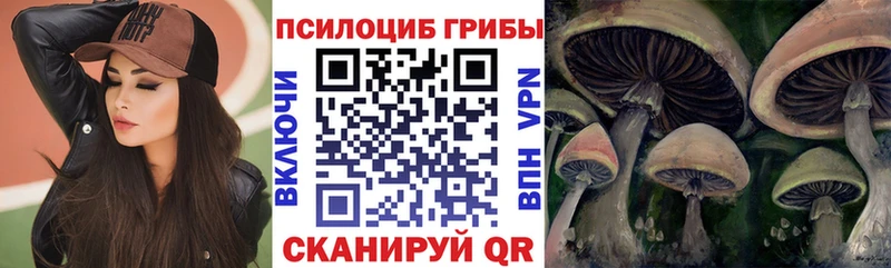 сколько стоит  Приволжск  Псилоцибиновые грибы Magic Shrooms 