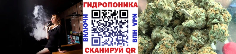 Шишки марихуана планчик где купить наркоту Приволжск